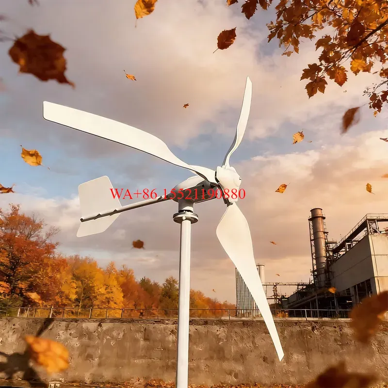 ชุดกังหันลมแนวนอน 3 ใบพัด WMWM - Wind Turbine Generator Kit 2000W บทวิจารณ์และราคา